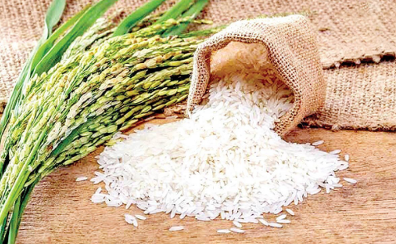 دانستنی هایی از برنج